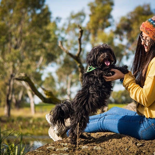 Meet Puddles & Fetch | Sustainable Dog Shampoo