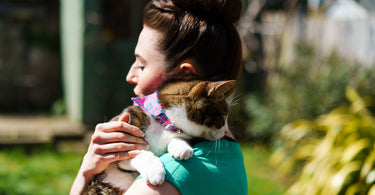 4 Signs That Your Cat Adores You | Hug Your Cat Day