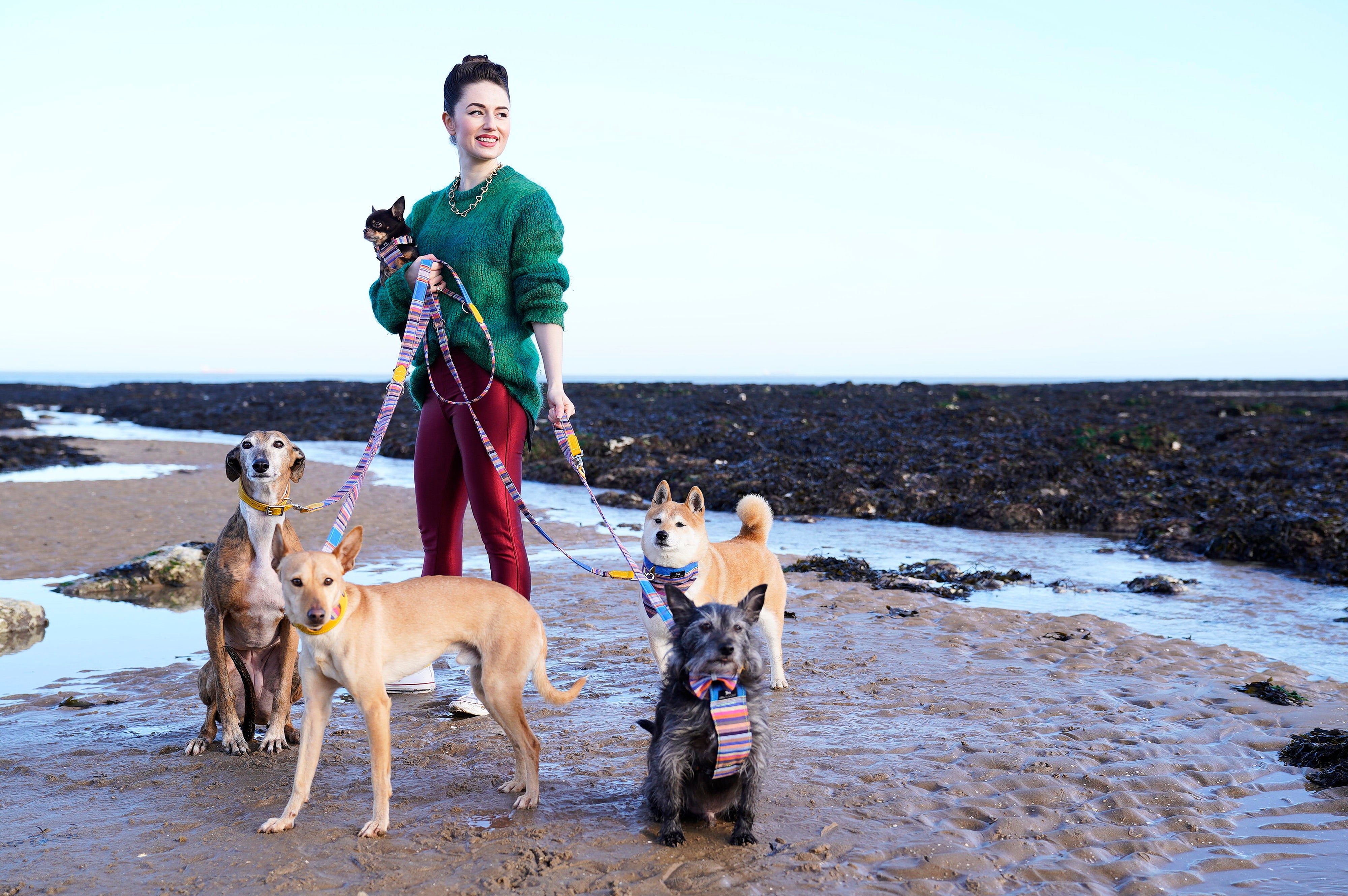 what beaches allow dogs in thanet