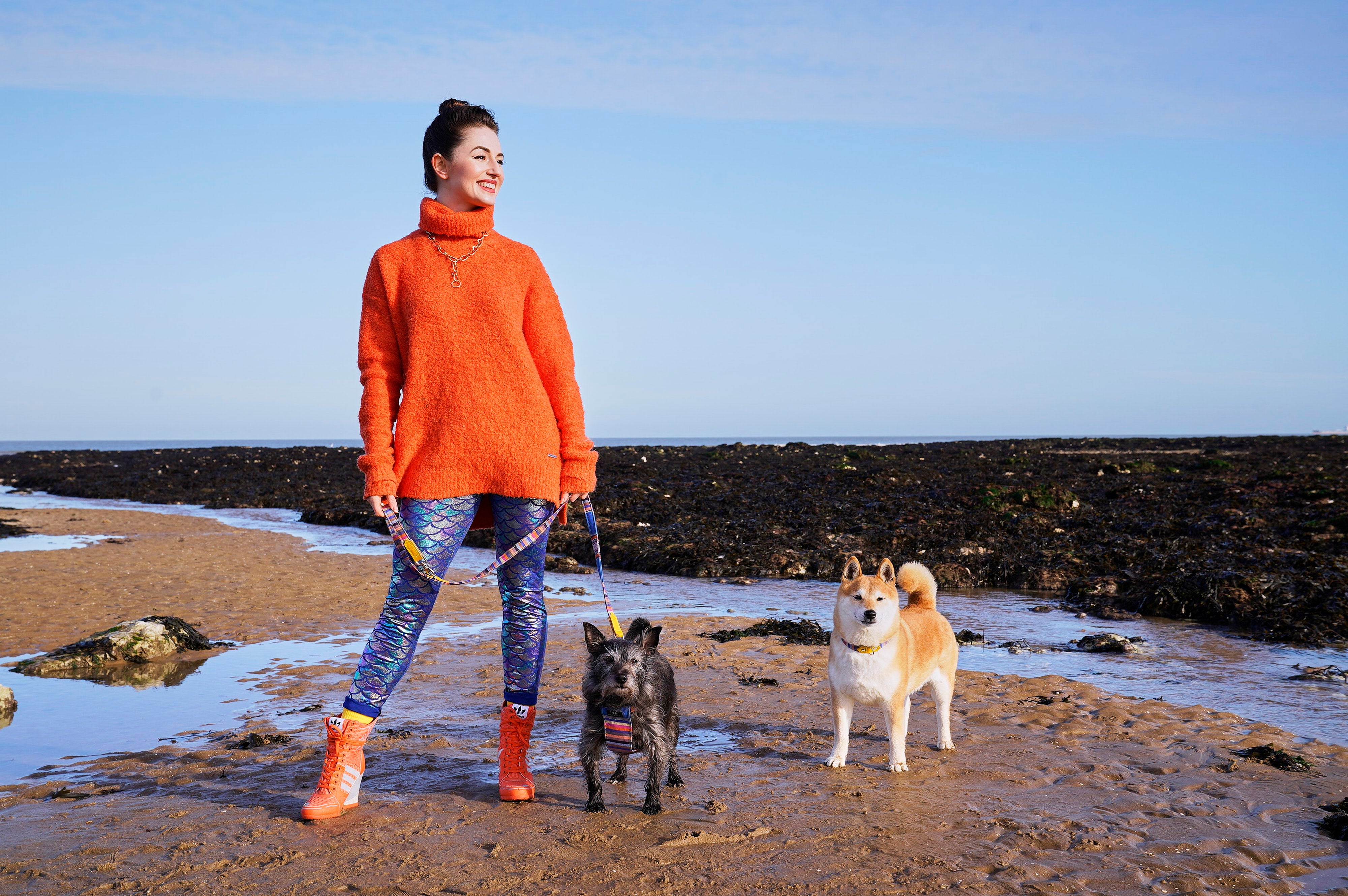 The Best Dog Walks in Kent Walk Your Dog Month 2023 Hiro + Wolf