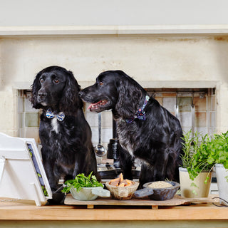 The Houndsley Brothers launch Forthglade's 'Clean Eating for Pets Campaign'