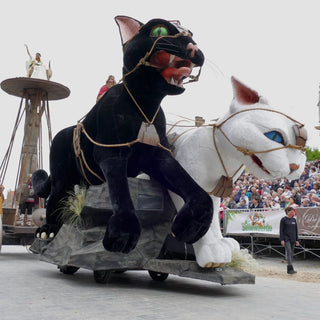 Kattenstoet | Belgium's Fantastic Feline Festival
