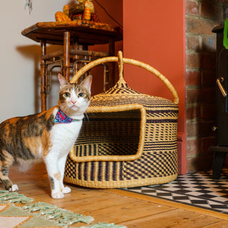 Our Cat Baskets | As Seen in The Times