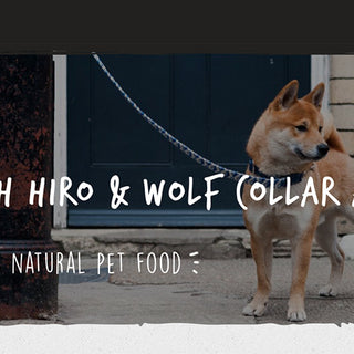 WIN £100 of Hiro + Wolf goodies with Forthglade pet food