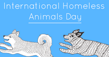 International Homeless Animals Day | How to Help Homeless Pets