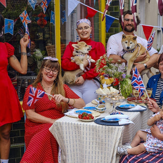 Keeping Your Pet Safe This Jubilee Weekend