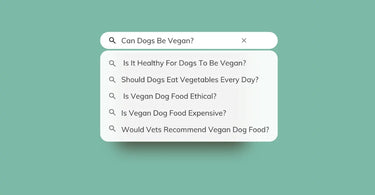THE PACK Answers Your Questions About Vegan Dog Food