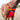 Dakar Dog Harness