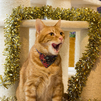 Christmas Snowflakes Cat Bandana-Cat Collar Bandana-Hiro + Wolf