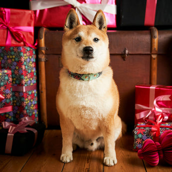 Christmas Snowflakes Dog Collar-Dog Collar-Hiro + Wolf