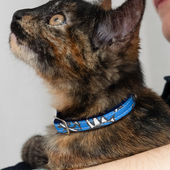 Eyes Stretch Cat Collar