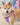 Nebula Dog Harness-Hiro + Wolf