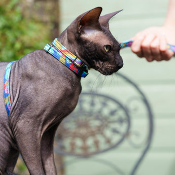 Wizard of Dog Breakaway Cat Collar-Cat Vegan Collar-Hiro + Wolf