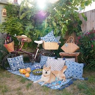 Pooch-Friendly Picnic Tips | Picnic Month