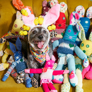 Our Favourite Animal Accounts to Follow This Easter