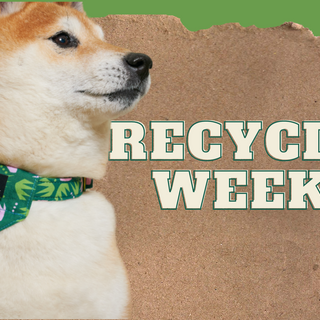 Ways to Recycle With Your Pet | Recycle Week