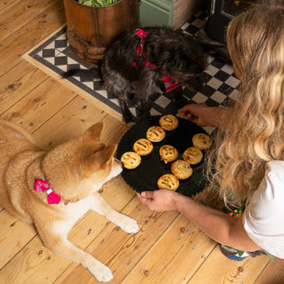 Pet Safe Christmas Dinner