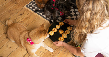 Pet Safe Christmas Dinner