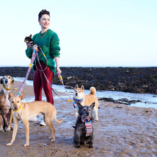 Introducing Marine Kikoy & Our Favourite UK Dog Friendly Beaches