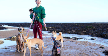 Introducing Marine Kikoy & Our Favourite UK Dog Friendly Beaches