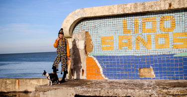 The Ultimate Dog Friendly Guide to Margate