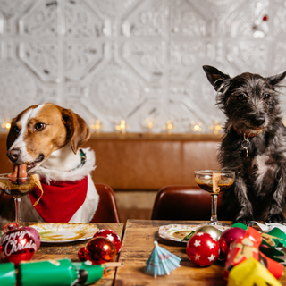 Pet Friendly Festive Food