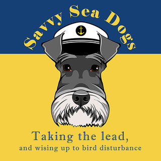 Meet Savvy Sea Dogs | Bird Wise East Kent