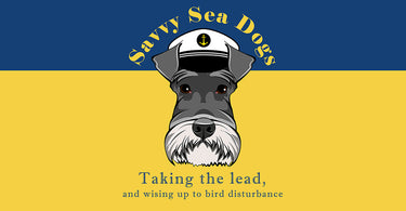 Meet Savvy Sea Dogs | Bird Wise East Kent