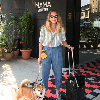 Mama Shelter London Dog Friendly Hotel Review