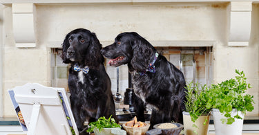 The Houndsley Brothers launch Forthglade's 'Clean Eating for Pets Campaign'