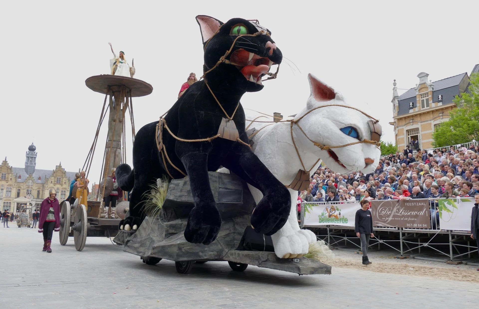 Kattenstoet | Belgium's Fantastic Feline Festival – Hiro + Wolf