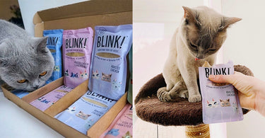 Free Blink! Cat Food