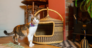 Introducing Our Hand Made Cat Baskets