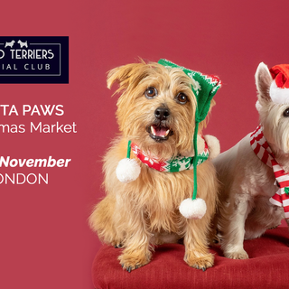 TWO TERRIERS CHRISTMAS MARKET