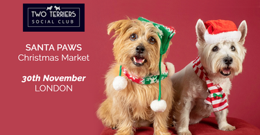 TWO TERRIERS CHRISTMAS MARKET