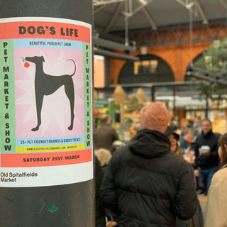 Spitalfields Doggo Fashion Show