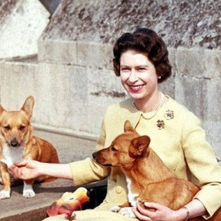 The Queen & Her Corgis