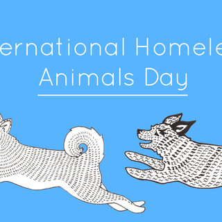 International Homeless Animals Day