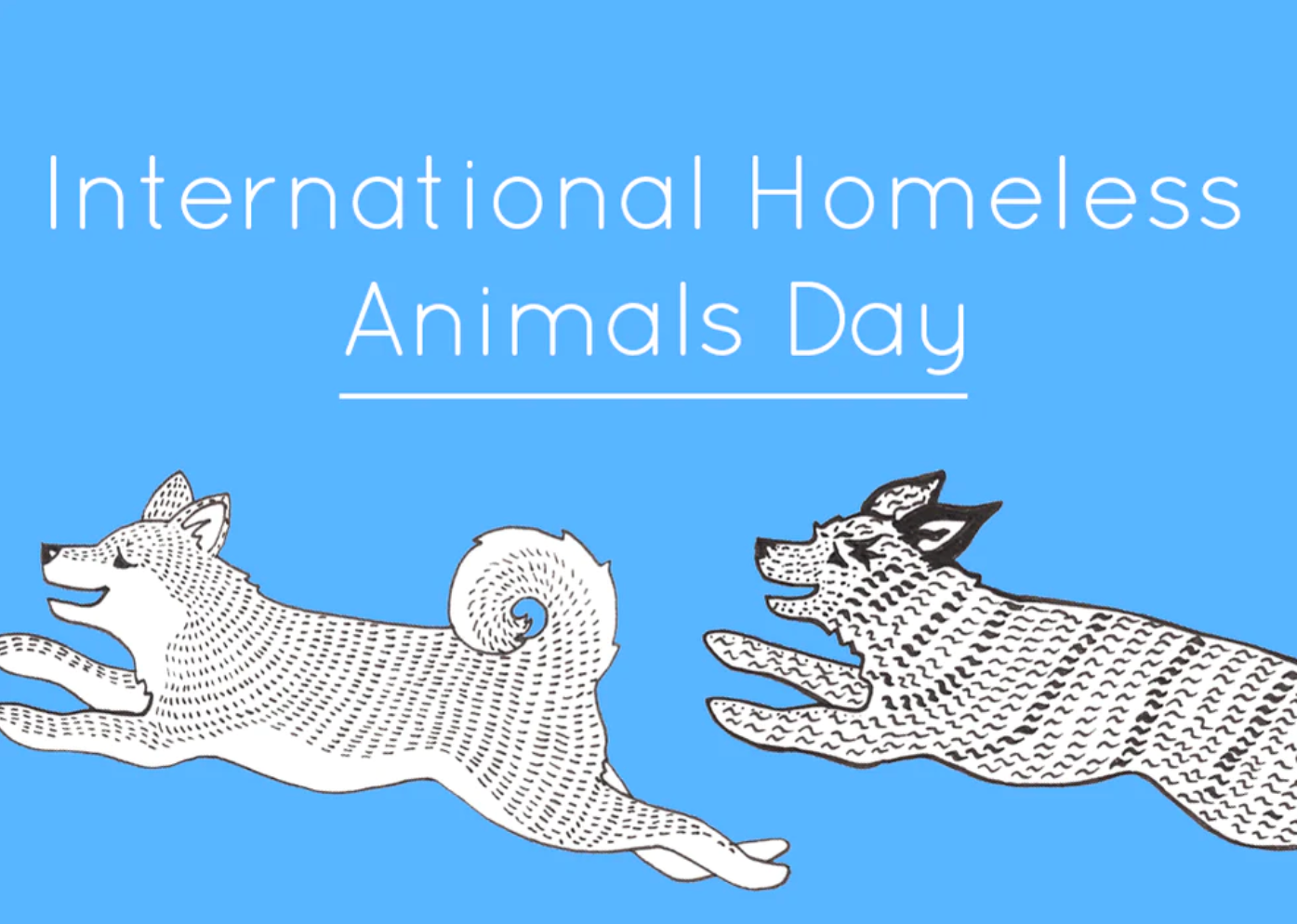 International Homeless Animals Day How to Help Homeless Pets Hiro