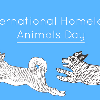 International Homeless Animals Day | How to Help Homeless Pets