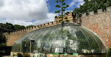 Dog Friendly days out in Kent - Italianate Glasshouse Ramsgate