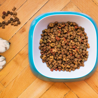 Why Should I Choose Organic Pet Food? | Organic September