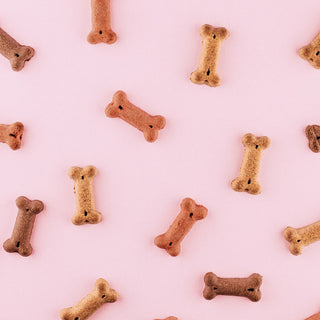 DIY Vegetarian Dog Treats | World Vegetarian Day