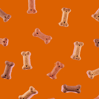 Pumpkin Treats for Cats & Dogs | National Pumpkin Day