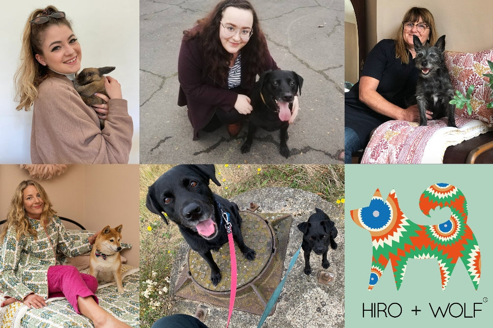 Meet the Team's Pets | National Pet Day – Hiro + Wolf