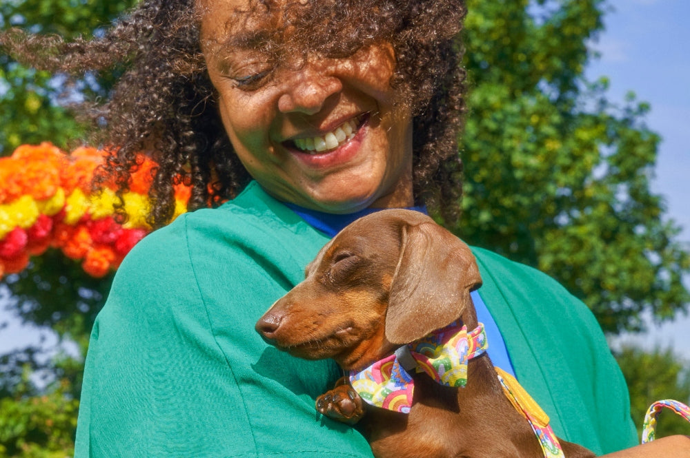 StepbyStep Guide for Adopting a Dog Adopt a Shelter Pet Day Hiro