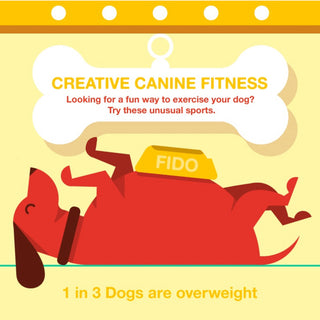 Creative Fitness Ideas for Pups