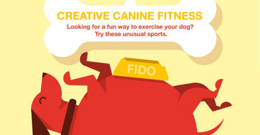 Creative Fitness Ideas for Pups