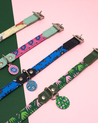 Dog Collars