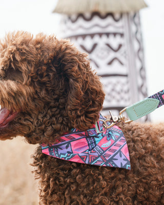 Dog Bandanas